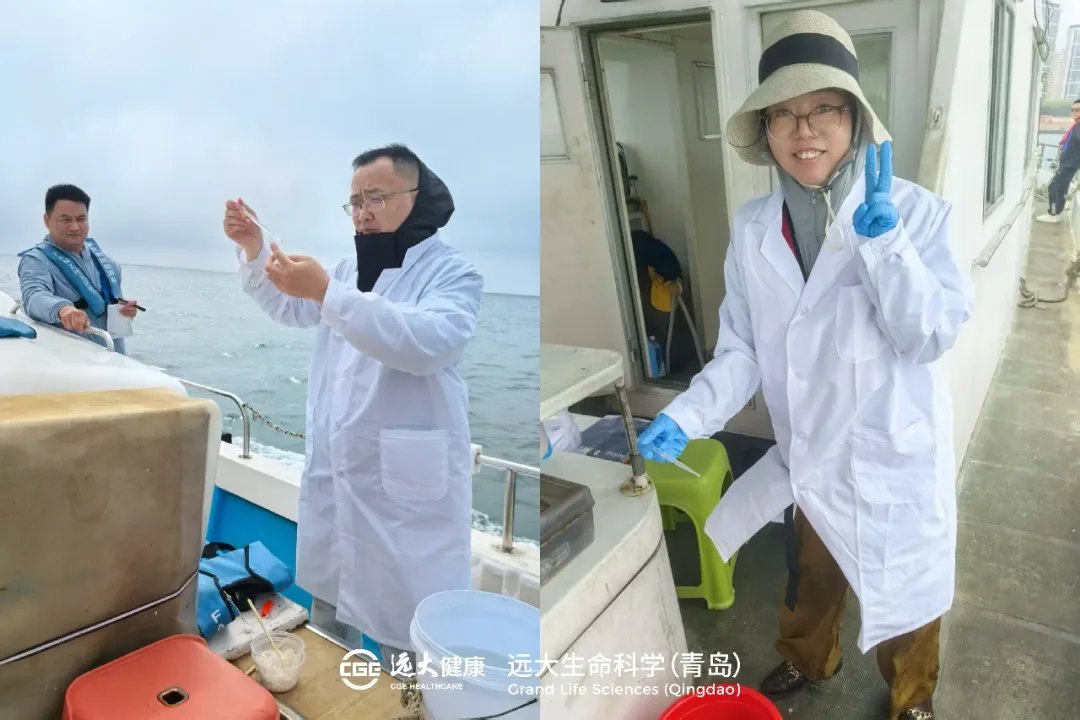 沉浸式體驗(yàn)海洋菌株采集與分離